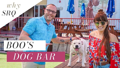 Looking for a dog friendly bar in Sarasota Florida?