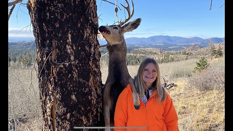 Buck/Bull Hunt in Colorado for Daughter, 2022