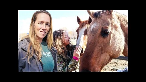 She's Dreaming of a Homestead Like This | Redmond Farm & Garden