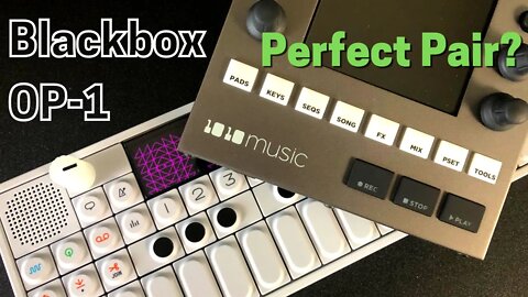 OP-1 and Blackbox - Are They a Perfect Pair?