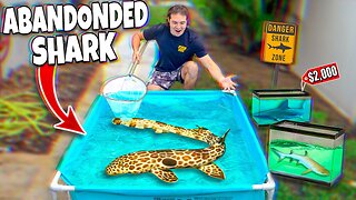 I Rescued A $2,000 SHARK For My SALTWATER POND!!