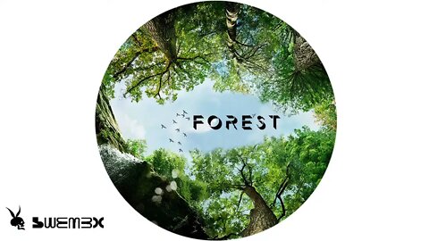 FOREST - SWEMEX | Minimal House, Electro House, LO-FI ChillOut Livestream