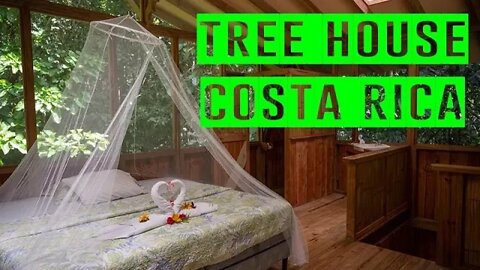 My Tree House In Costa Rica - Casa Perezosa