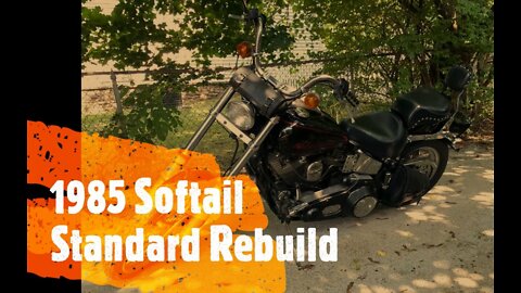 1985 FXST - Softail Standard Initial Rebuild