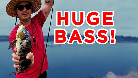 I Caught A Huge Bass! - Fishing Newport Beach 2020
