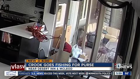 Crook goes fishing, steals purse with pole through dog door of Las Vegas home