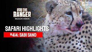 Safari Highlights #414: 15 - 18 June 2016 | Sabi Sand Wildtuin | Latest Wildlife Sightings