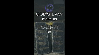 GOD'S LAW - Psalm 119 - 19 - A cry for salvation #shorts