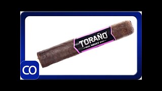 Torano Vault TM 027 Robusto Cigar Review