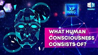 Structure of Human Consciousness. XP NRG