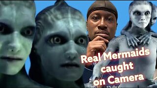 Real Mermaids Caught On Camera