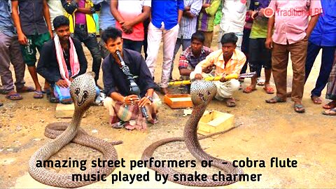 amazing street performer or COBRA flute music played by snake charmer