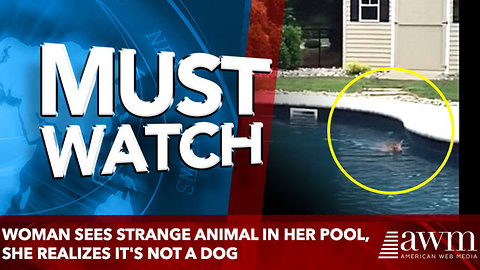 Woman Sees Strange Animal In Her Pool, She Realizes It's Not A Dog