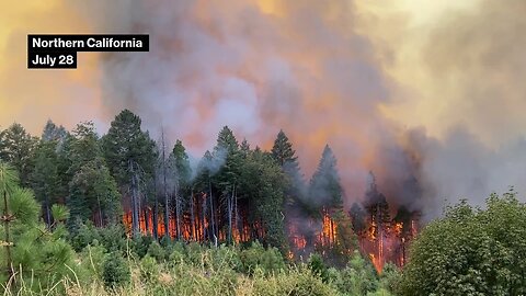 California Battles One of the Biggest Fires in State History| TN ✅