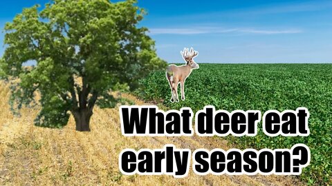 Should you focus on food during early season with Dan Infalt and Josh Teulker