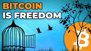 Bitcoin: A Bid For Freedom w/ Troy Cross | Highlight