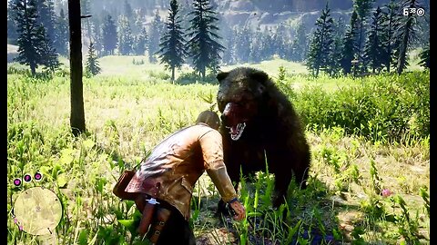 The Bear attacked Arthur Morgan - Red Dead Redemption 2 Gameplay