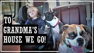 Thanksgiving Travels//SipsBy//Family Vlog