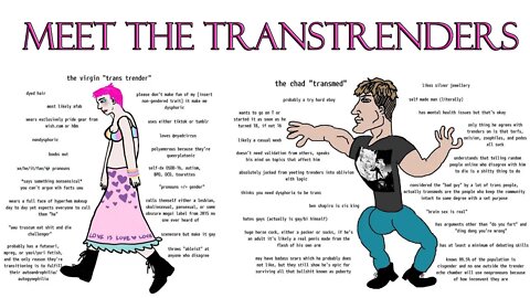 Meet the transtrenders: how they harm true transsexuals.