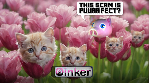 This Scam is Puurr'fect?