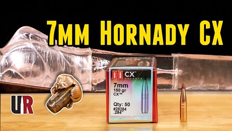 TESTED: Hornady 7mm 150 grain CX Bullets w/Ballistics Gel (7mm Rem Mag)