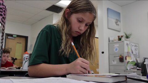 Hillsborough 4th graders top US in "national report card" testing