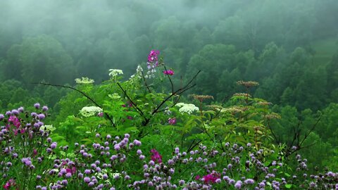 10 Hours rain sound for sleep and relaxation