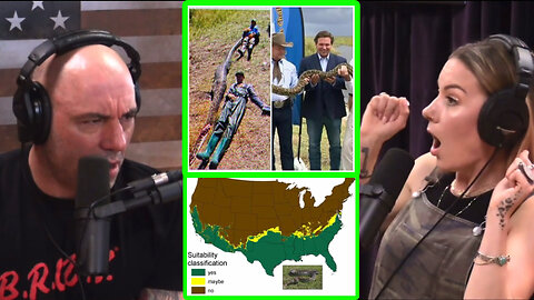 Joe Rogan: Florida Gov. Ron Desantis Holds MASSIVE Python! + Nile Crocodiles w/Jessimae P