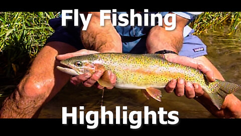 Fly Fishing Highlights