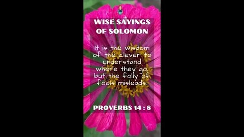 PROVERBS 14:8 | Wise Sayings of Solomon