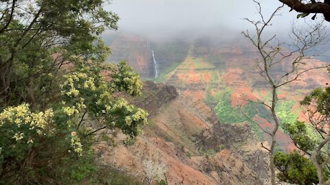 2019 Kauai Trip at Waimea Canyon with my family.