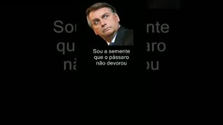 Bolsonaro,semente que não secou.