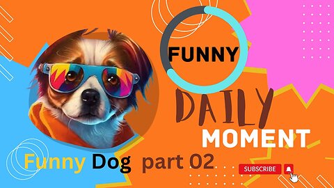 Animals Crazy Moments | Episode 092