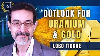 Uranium's Rise Matters and Why I'm Still Holding Back on Gold: Lobo Tiggre
