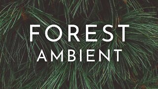 Forest Ambient | Meditation Ambient Nature Study Music | Planet Biome: Part 1