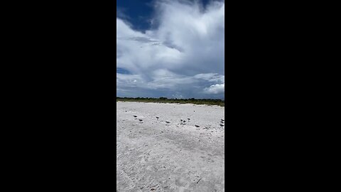 Livestream Clip - Bowman’s Beach Sanibel Island, FL 8/26/22 Part 3