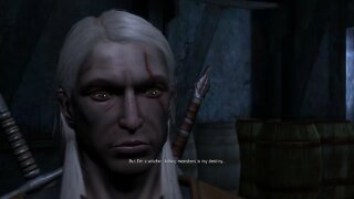 Lets Play The Witcher #13 - Another Party