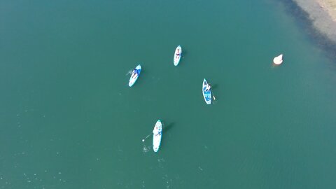 Blasian Babies DaDa Grand Caribe Shoreline Park Paddleboarders Enjoying Skydio 2+ Drone Sunshine!