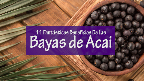 11 Fantásticos Beneficios De Las Bayas de Acai