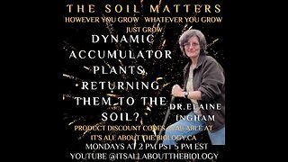 Dynamic Accumulator Plants, Returning Them To The Soil?