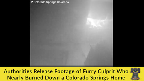 Authorities Release Footage of Furry Culprit Who Nearly Burned Down a Colorado Springs Home