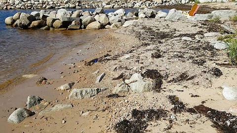 Ocean brings in Unexpected object to beach