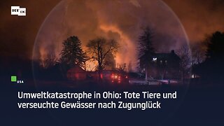 Umweltkatastrophe in Ohio: Tote Tiere und verseuchte Gewässer nach Zugunglück