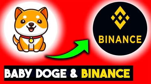 BABY DOGECOIN NA BINANCE ESSE MÊS? | Edney Pinheiro