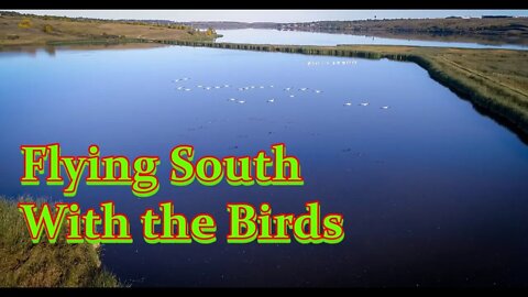 Flying South With the Birds The Outdoor Adventures Vlog#1864