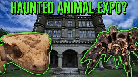 An Exotic Animal Show in a HAUNTED PRISON?!