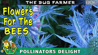 Pollinators Delight - Time to get the seeds in the ground, planting a variety for the bees.