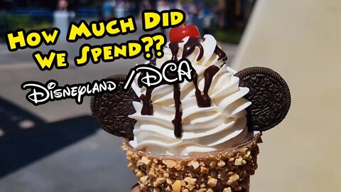 How Much Did We Spend During A Day At Disneyland And DCA?