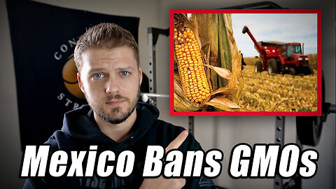 Mexico Bans GMO Corn - Big Ag Big Mad