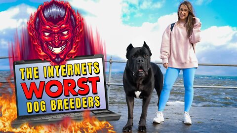 The Internet's WORST Dog Breeders - HELP! Cane Corso